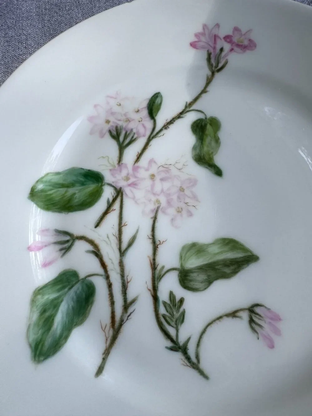 Haviland Limoges Floral Plates – Antique French Porcelain